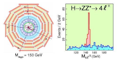 H -> ZZ* -> 4l Occorre un ottimo tracciatore insieme ad un buon sistema per l identificazione dei muoni e misura di elettroni (Dm H < 1 GeV per m H < 2m Z ).