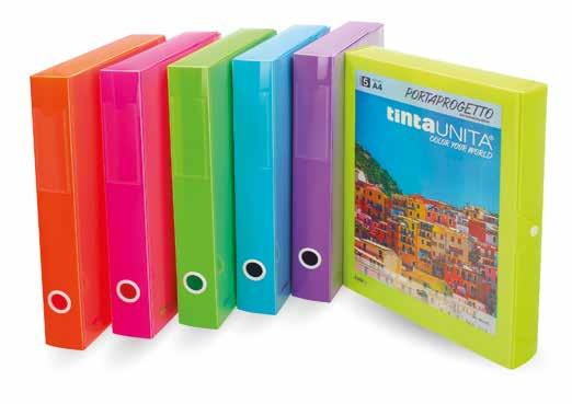 ARCHIVIO 5 colori neon Raccoglitori trasparenti personalizzabili, con anello di estrazione contenenti 5 cartelline assortite nei colori fluo: giallo, verde, fucsia, viola,