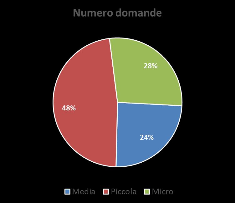 Numero domande e investimenti per dimensione di impresa