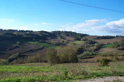 RIATTIVAZIONE DELLA GESTIONE DEL BOSCO VALORIZZAZIONE