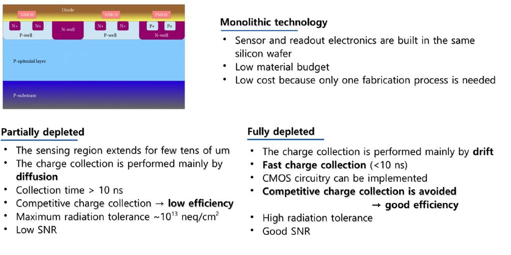 Monolithic sensors INFN