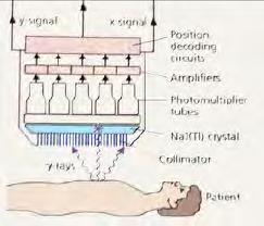 nel corpo umano, dei radiofarmaci usati per la diagnosi.