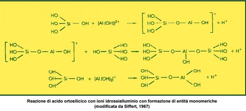 Processi di neogenesi