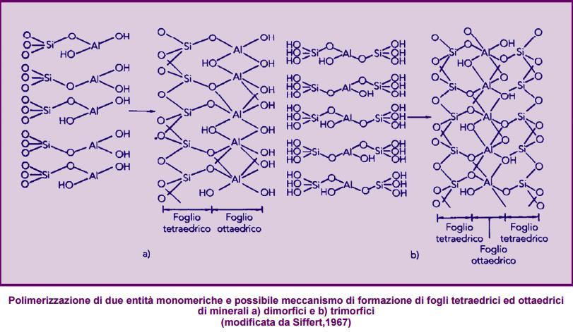 Processi di neogenesi