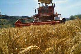 1) Approvvigionamento e valorizzazione delle materie prime agricole Le iniziative dell Industria alimentare: Promozione di