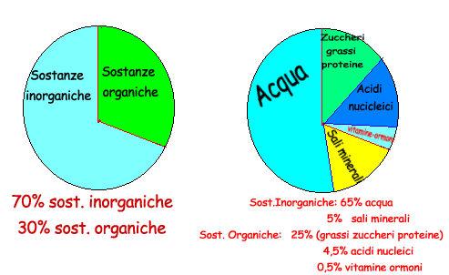 Concentrazione e tempi ideali di contatto del PAA Diversi lavori sperimentali hanno mostrato che le concentrazioni iniziali di PAA da 1 a 15 mg/l e tempi di contatto da 15 a 60 minuti possono