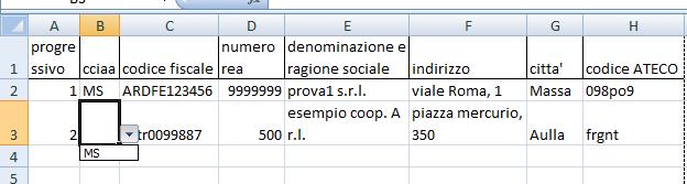 1.3 Descrizione del modello di file pre-formattato allegatob.