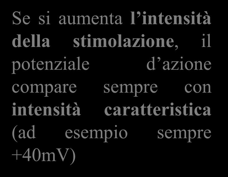 Cosa succede se si stimola un assone più intensamente?