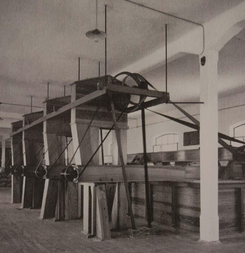 IL MOLINO DI trieste Il Molino di Trieste comincia a delinearsi negli anni 30 a partire da un silos in stile asburgico che evolverà poi man mano, frutto della combinazione di tratti architettonici