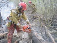 Il Centro Operativo Antincendi Boschivi Il sito web sugli incendi boschivi (unico in Italia) permette di visualizzare in tempo reale sulla rete internet la situazione giornaliera aggiornata degli