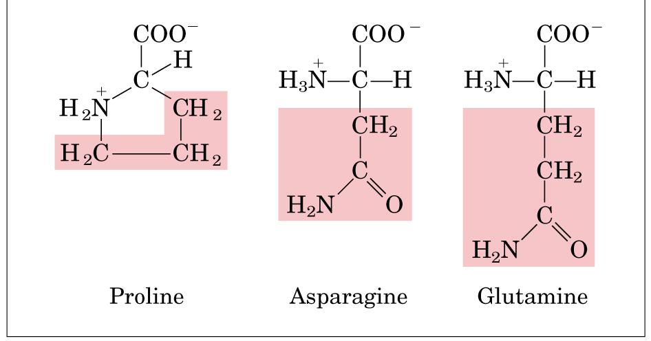 La Ser e la Thr possono essere fosforilate sull ossidrile.