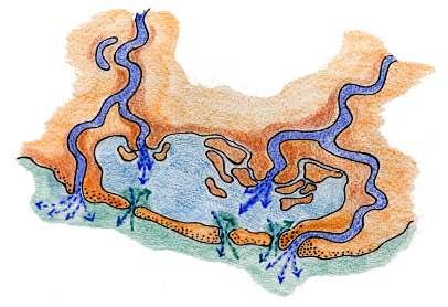 Come si forma una laguna?