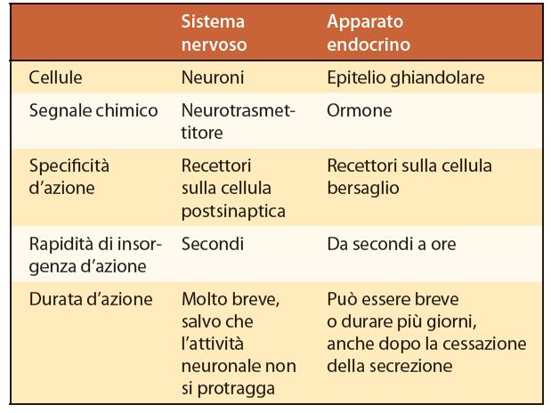 Caratteristiche generali Comparazione Sist. Nervoso vs App.