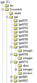 File System ad albero Più directory per ogni utente organizzazione gerarchica conflitti sui nomi minimi