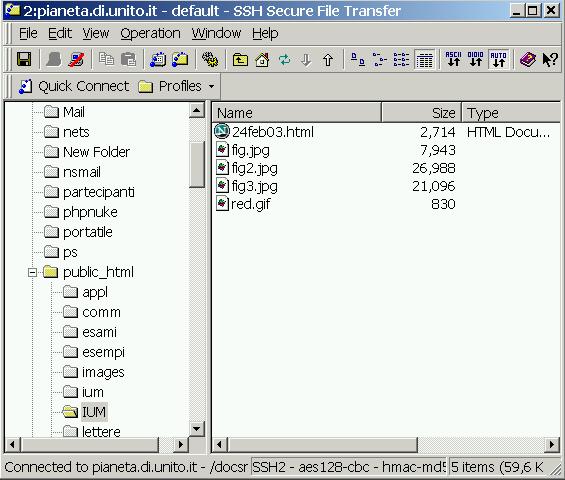 remoto at host FTP interface FTP client local file system