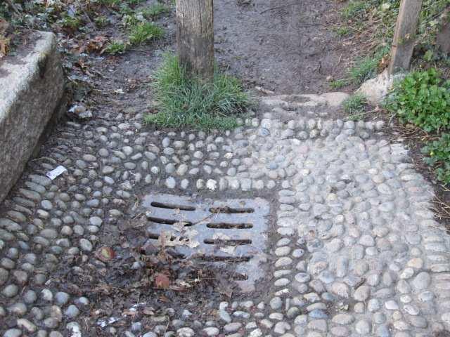 - posa di geostuoia al fine di contenere i rischi di erosione - messa a dimora di piantine forestali atte contemporaneamente a: o contenere ricacci del bambù, aumentare la stabilità della scarpata o