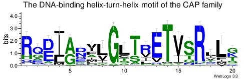 Nucleotide and protein sequence logos Nel grafico è rappresentata in