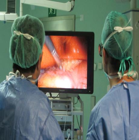 l ingranditi e arricchiti di dettagli anatomici non visibili ad occhio nudo. L anestesia è sempre generale.