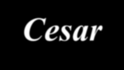 Cesar San Giustino, 11 novembre 2014 Aiuti