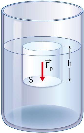 4. La legge di Stevino Consideriamo una superficie ideale orizzontale, di area S, posta a una profondità h rispetto alla superficie libera del liquido che ha densità