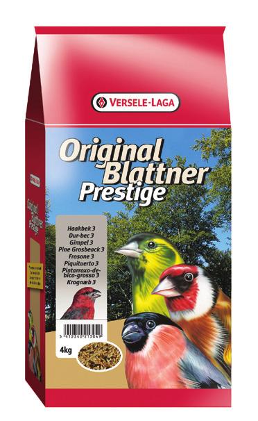 Uccelli Blattner Matthias Blattner è da più di 30 anni allevatore di tutti i tipi di Lucherini ed altri Fringillidi.