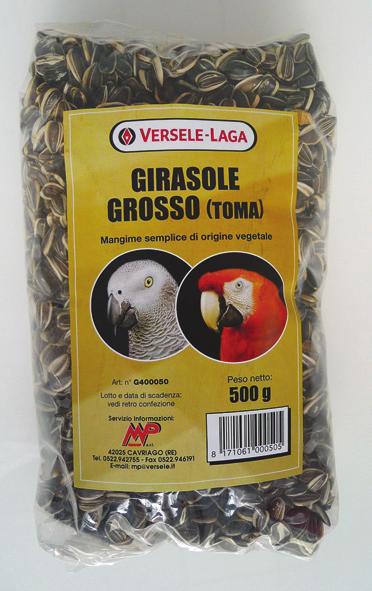 G400100 Arachidi pelate (non tostate) Arachidi pelate (non tostate) - 1 Kg G451334 Arachidi pelate (non tostate) - 3 Kg Girasole Bianco G451331 Canapa Girasole Bianco - 600 g Girasole Piccolo striato