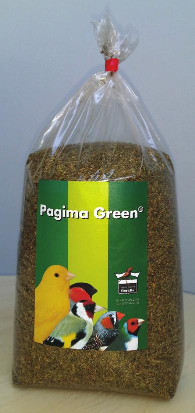 Uccelli Granaglie - piccole confezioni Niger Panico in grappoli Niger - 1 Kg 1 pz.