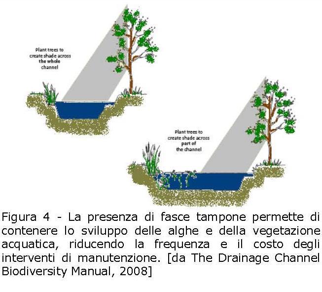 acquatica