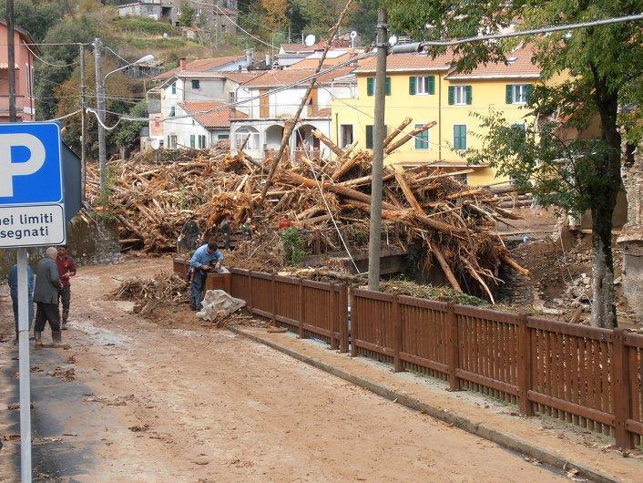 rami all intero albero, che con modalità diverse termina all interno degli alvei fluviali e ne