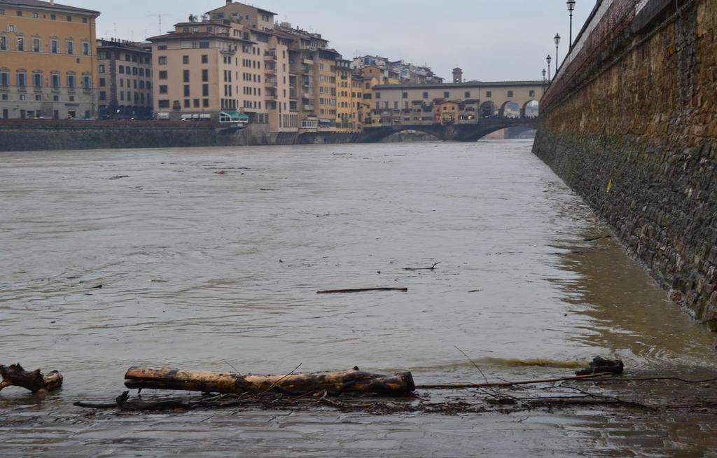 Fiume Arno, Firenze