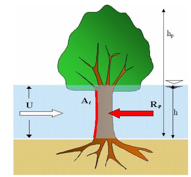 Modelli per vegetazione arborea rigida Modello di