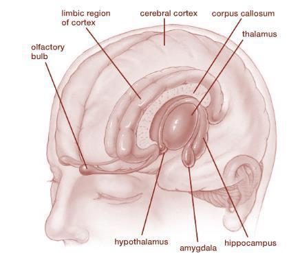 1) TRASMISSIONE AREA