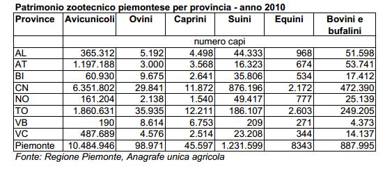 Produzione 49,17 66,97 Autoconsumo 33,03 100,00