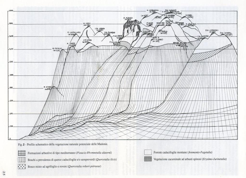 Spostamento delle Isoterme più rapido (3 km/anno in lat. e di 11.5 m in alt.