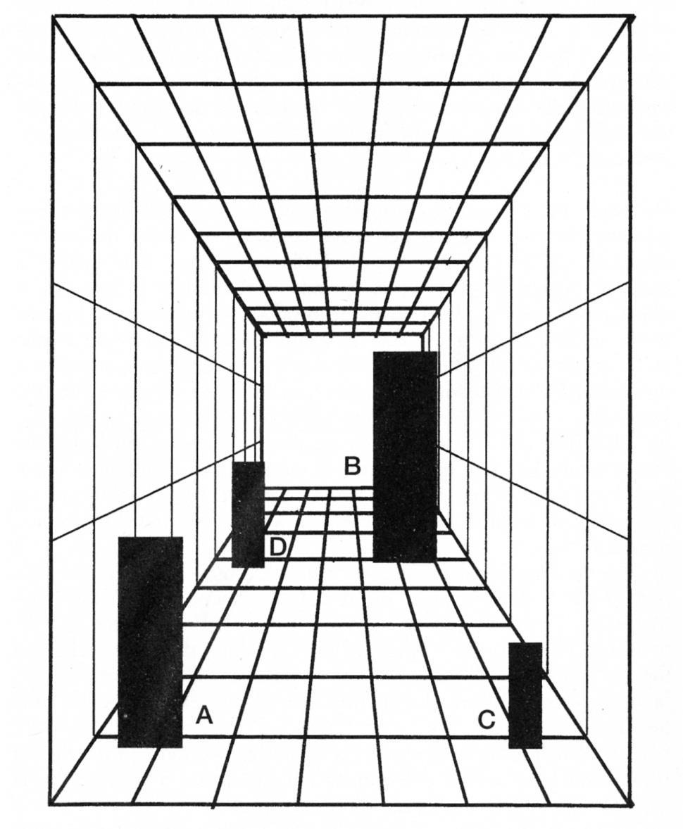 1) La costanza di grandezza La grandezza percepita di un oggetto dipende dal contesto.