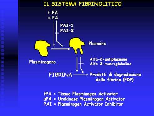 Fibrinolisi farmacologica Urokinasi Prodotto da tutte le cellule nucleate Non ha recettori sulla fibrina Ha recettori sulla