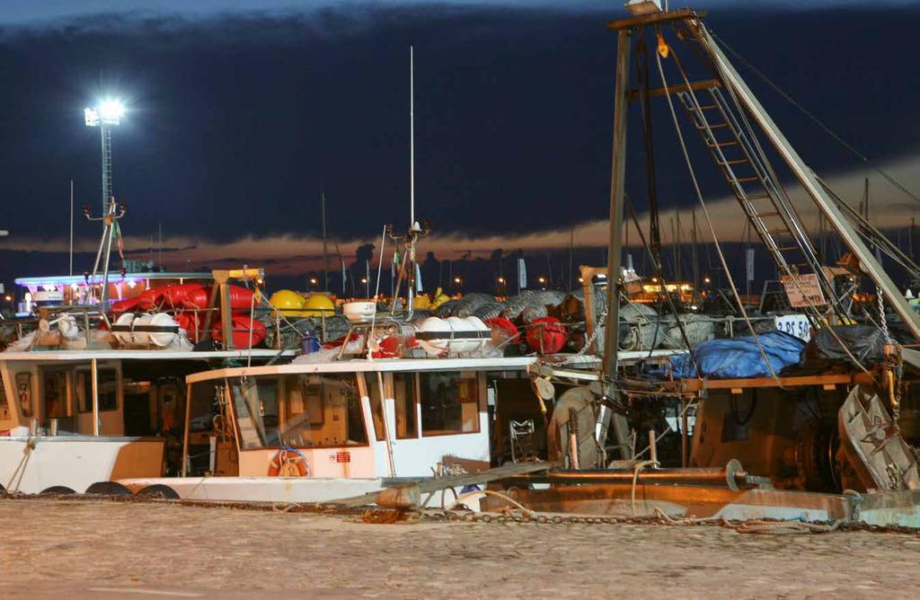 Verso le 14, arrivano le casse di pescato dalle barche di ritorno dallo strascico e quelle con il pesce azzurro.