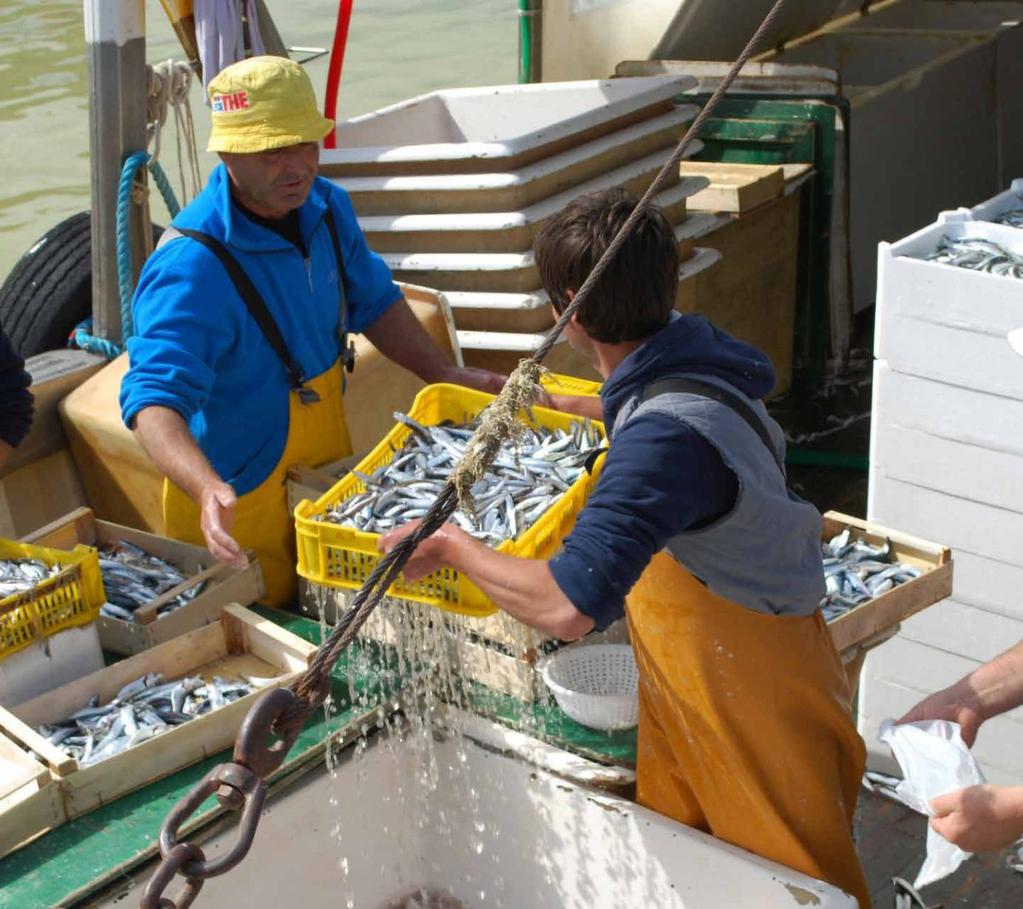 La foce del fiume Tavollo scorre sul porto canale confinata da due banchine e si estende in mare.