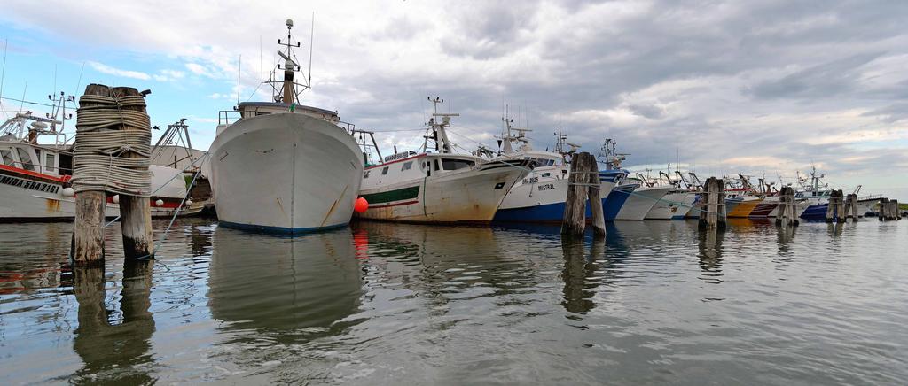 La marineria di Goro è una delle realtà produttive fra le più virtuose sul territorio italiano e, accanto alle comuni