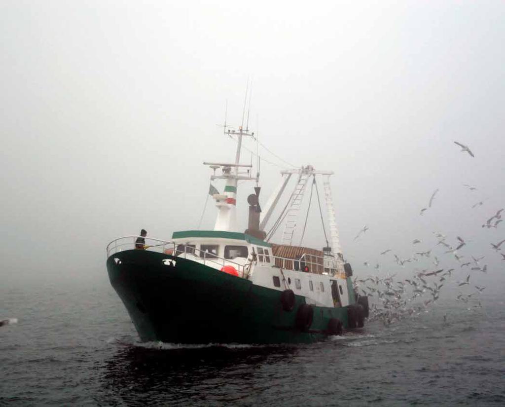 imbarcazioni di oltre 20 metri per la pesca del pesce azzurro.