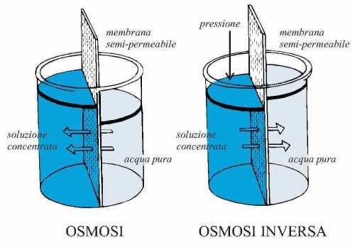 Osmosi inversa L osmosi è quel fenomeno per cui si assiste al movimento di acqua da una soluzione meno concentrata a una soluzione più concentrata, attraverso una membrana semipermeabile.