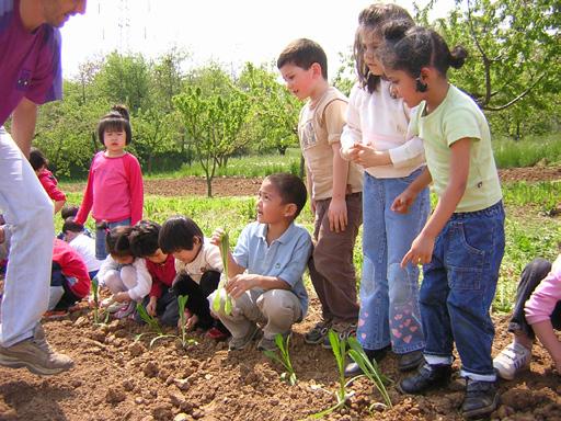 La tre giorni in fattoria Su richiesta offriamo la possibilità di usufruire di 3 incontri (uno durante la stagione autunnale e due in primavera) per sviluppare tematiche care alla scuola da