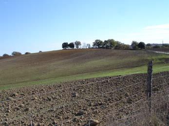 territorio di Sorano, e dalla frazione del Casone-Belvedere, ai limiti del comune di Pitigliano con il confine laziale.