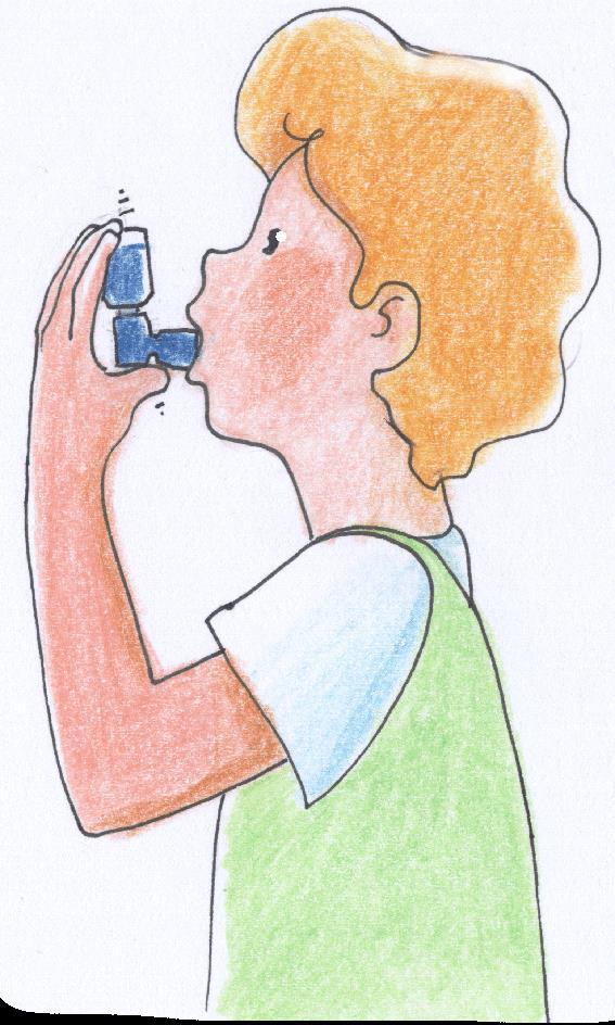 Che cosa succede durante una crisi d asma?