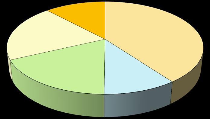 Le acquisizioni della cittadinanza italiana 40-49 anni 20,1% 50 anni e oltre 11,9% 30-39 anni 17,8% fino 19 anni 39,9% 20-29 anni 10,2% Le acquisizioni di cittadinanza italiana interessano