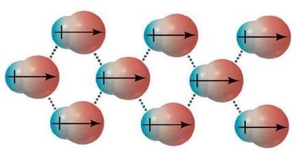 LEGAME A PONTE D IDROGENO: si realizza nelle molecole polari e consiste nell attrazione tra le parti caricate con segno opposto dei dipoli delle varie molecole, che si orientano