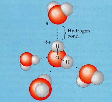 Nell acqua ogni molecola è legata ad altre 4 da forti legami H Per inserire in acqua un composto (incapace di formare legami con le molecole di acqua), dobbiamo rompere questi legami e quindi