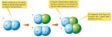 Ligando e recettore Legame idrofobico: legame molto debole che si forma quando parti nonpolari delle molecole interagiscono in un ambiente privo di acqua.