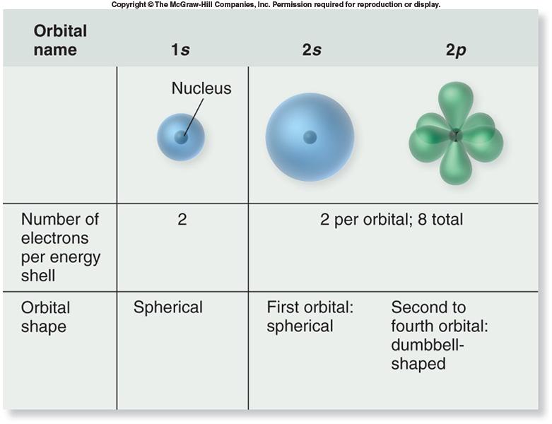 Numero di elettroni per guscio energetico 2 per ogni orbitale; 8 totali Forma degli