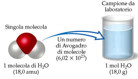 Si dfinisc MASSA o PESO MOLARE di un lmnto o composto la quantità in grammi prsnt in una mol (g/mol) La massa molar (MM) è numricamnt quivalnt alla massa atomica o molcolar sprssa in uma RELAZIONE